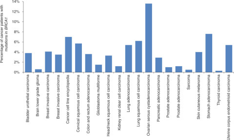 Patients with other cancer types who carry BRCA1 mutations. We used data from The Cancer Genome Atlas (TCGA) to examine the percentage of patients with other tumor types who show deleterious mutations (missense, nonsense, copy-number, and structural variations) in their BRCA1 gene. We found that ovarian and breast cancers are only 2 of 21 total cancer types likely to be associated with relevant mutations in BRCA1, as determined by TCGA. (Rosenfeld and Mason Genome Medicine 2013 5:27   doi:10.1186/gm431)