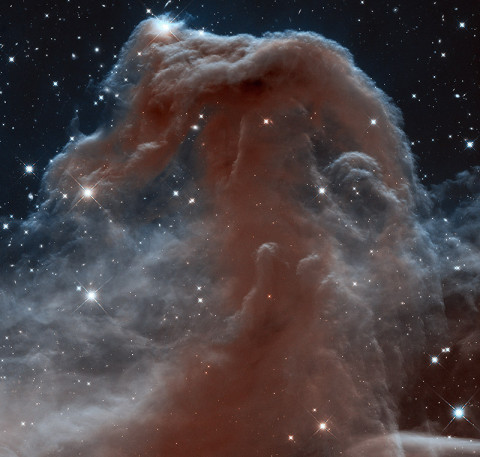 NASA's Hubble Space telescope takes pic of Horsehead Nebula. (Credit:NASA, ESA, and the Hubble Heritage Team (STScI/AURA))