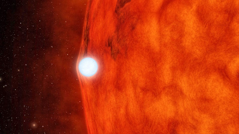 This artist's concept depicts a dense, dead star called a white dwarf crossing in front of a small, red star. The white dwarf's gravity is so great it bends and magnifies light from the red star. (Image credit: NASA/JPL-Caltech)