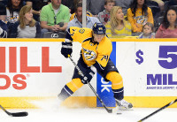 Nashville Predators left wing Sergei Kostitsyn (74). (Don McPeak – USA TODAY Sports)