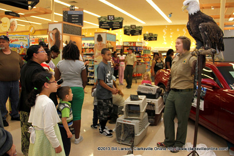 A Tennessee State Parks Interpretive Specialist introduces the crowd to Captain Bligh, the Bald Eagle from Reelfoot Lake State Park.