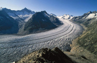 The Aletschglacier in Switzerland is the largest valley glacier in the Alps. Its volume loss since the middle of the 19th century is well visible from the trimlines to the right of the image. (Credit: Frank Paul, University of Zurich)