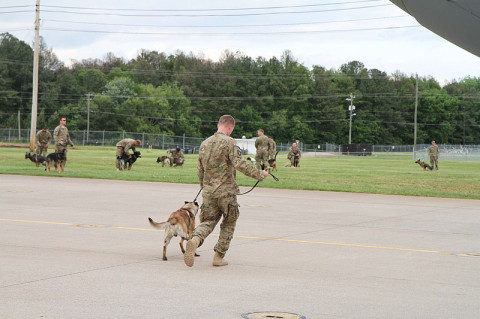 Dog handlers and their dogs assigned to 3rd Brigade Combat Team "Rakkasans," 101st Airborne Division (Air Assault), spend their last moments together after their nine month deployment to Afghanistan while at the Fort Campbell, Ky., airfield, May 23, 2013. (Photo by Army Spc. Brian Smith-Dutton 3/101 Public Affairs)