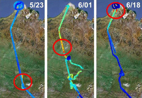 The CARVE scientists observed episodic, localized bursts of methane being emitted from the tundra as the spring thaw progressed northward over Alaska's North Slope in May and June 2012. Reds and yellows represent the highest concentrations of methane, and blues the lowest. The methane is released from the topsoil as it thaws. (Image credit: NASA/JPL-Caltech)