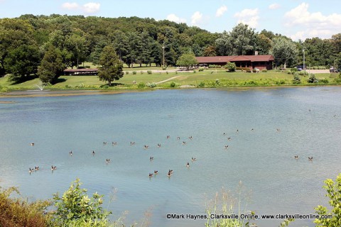 Swan Lake at Dunbar Cave State Park before it had to be drained due to problems with the dam.