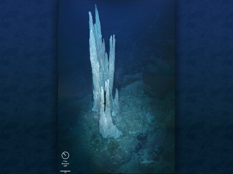 This image from the floor of the Atlantic Ocean shows a collection of limestone towers known as the "Lost City." Alkaline hydrothermal vents of this type are suggested to be the birthplace of the first living organisms on the ancient Earth.  (Image courtesy D. Kelley and M. Elend/University of Washington)