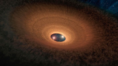 In this artist's impression, a disk of dusty material leftover from star formation girds two young stars like a hula hoop. As the two stars whirl around each other, they periodically peek out from the disk, making the system appear to "blink" every 93 days. (Image credit: NASA/JPL-Caltech)