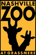 Komodo dragons take center stage at Nashville Zoo - Axios Nashville