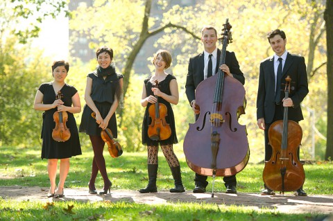 Toomai String Quintet