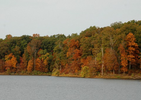 Fall Colors at Land Between the Lakes.