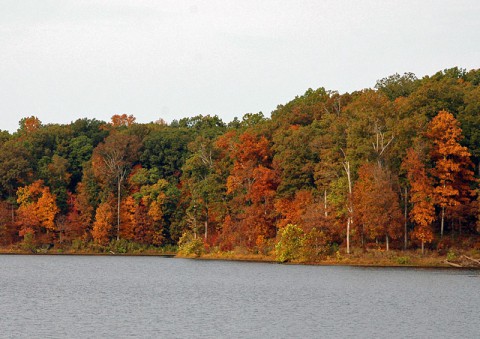 Land Between the Lakes.