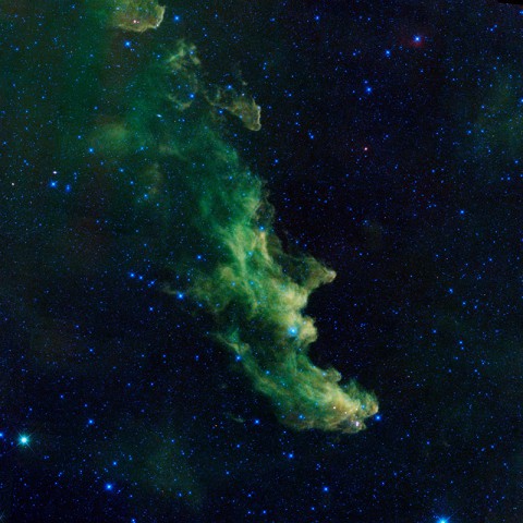 An infrared portrait of the Witch Head nebula from NASA's Wide-field Infrared Survey Explorer, or WISE, shows billowy clouds where new stars are brewing. (NASA/JPL-Caltech)