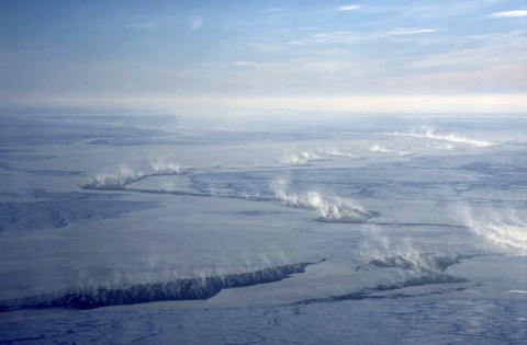 Cloud plumes from cracks of open water in the Arctic sea ice cover. (University of Hamburg, Germany)