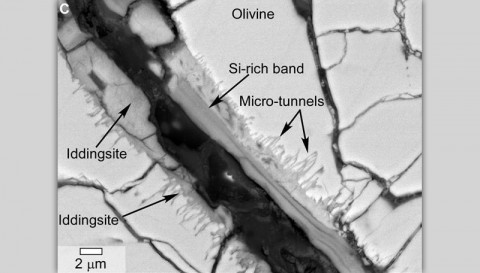 This scanning electron microscope image of a polished thin section of a meteorite from Mars shows tunnels and curved microtunnels. (NASA) This scanning electron microscope image of a polished thin section of a meteorite from Mars shows tunnels and curved microtunnels. (NASA)