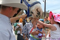 The Express Clydesdales were being shown to the children in the Kids Zone at the 2014 Rivers and Spires Festival