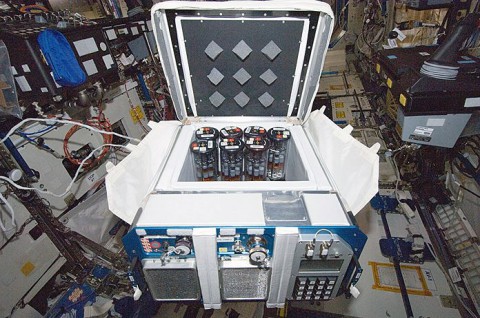 Group Activation Pack cylinders similar to these, pictured within the Commercial Generic Bioprocessing Apparatus, were used to study the fungal pathogen C. albicans aboard space shuttle Atlantis. (NASA)