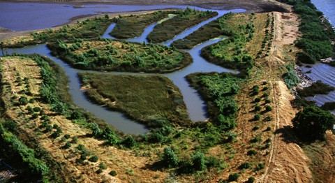 Levees and islands in the Sacramento River delta. There are an estimated 1,100 miles of levees. (U.S. Bureau of Reclamation)