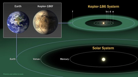 The diagram compares the planets of our inner solar system to Kepler-186, a five-planet star system about 500 light-years from Earth in the constellation Cygnus. (NASA)