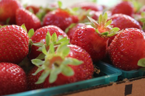 Strawberry Crops will be ready for picking the next few weeks.