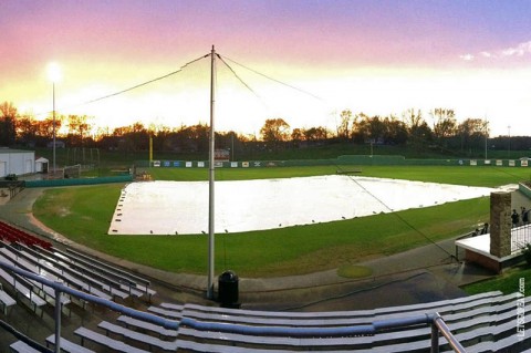 Austin Peay Men's Baseball. (APSU Sports Information)