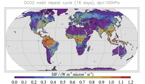 Simulated map showing typical fluorescence data expected from NASA's Orbiting Carbon Observatory-2 satellite. The information will be used to infer details about the health and activity of vegetation on the ground. (NASA/JPL-Caltech/NASA Earth Observatory Supplemental)