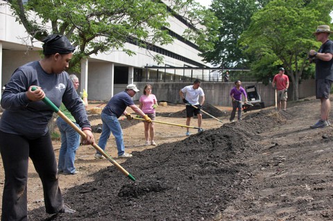 A team of volunteers create the Army's first healing garden located within a medical facility's footprint at Blanchfield Army Community Hospital May 23rd, 2014. More than 20 BACH staff members and local community members came together to build the garden, which will be used as therapy for wounded, injured and ill Soldiers while providing organic fruit and vegetables for the hospital's dining facility. (U.S. Army photo by Stacy Rzepka/RELEASED)