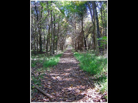 Tennessee State Parks to celebrate National Trails Day.