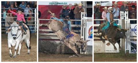 (L to R) A child riding Winchester the gentle Brahma bull and bullriding contestants in action (Ultimate Challenge Bullriding Productions)