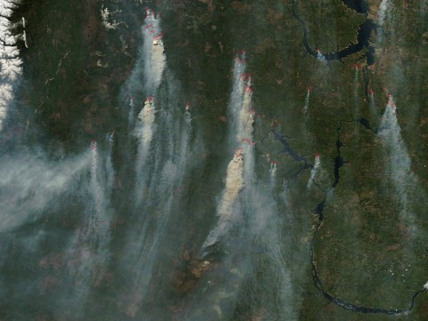 Scientists will use measurements from the Orbiting Carbon Observatory-2 to track atmospheric carbon dioxide to sources such as these wildfires in Siberia, whose smoke plumes quickly carry the greenhouse gas worldwide. The fires were imaged on May 18 by NASA's Moderate Resolution Imaging Spectrometer instrument on the Terra satellite. (NASA/LANCE/EOSDIS Rapid Response)