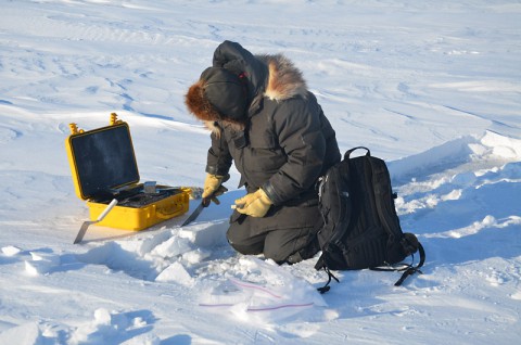 Matthew Sturm of the University of Alaska Fairbanks, a co-author of this study, takes a snow measurement on sea ice in the Beaufort Sea in March 2012 during the BROMEX field campaign. (U.S. Army Cold Regions Research and Engineering Laboratory)