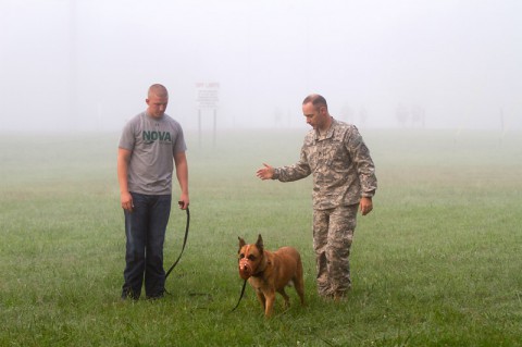 Staff Sgt. Jonathan Rose, the kennel master for the 510th Military Police Detachment, 716th Military Police Battalion, supported by the 101st Sustainment Brigade, 101st Airborne Division, gives instruction to Pfc. Jared Bridges, a dog handler also with the 510th MP Det., during a retirement assessment for Arno, a military working dog, Sept. 4 at Fort Campbell, Ky. (Sgt. Leejay Lockhart) Staff Sgt. Jonathan Rose, the kennel master for the 510th Military Police Detachment, 716th Military Police Battalion, supported by the 101st Sustainment Brigade, 101st Airborne Division, gives instruction to Pfc. Jared Bridges, a dog handler also with the 510th MP Det., during a retirement assessment for Arno, a military working dog, Sept. 4 at Fort Campbell, Ky. (Sgt. Leejay Lockhart)