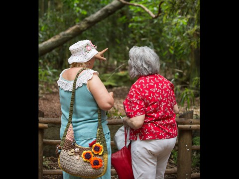 Senior Day at the Nashville Zoo. (Amiee Stubbs)