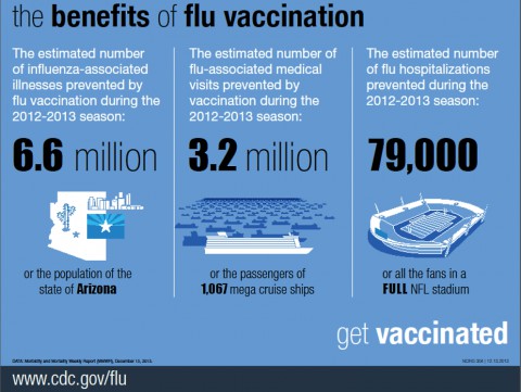 CDC Statics on the Flu