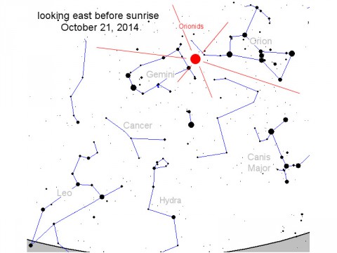 Orionid meteors fly out of a radiant near the shoulder of Orion, the Hunter.  In this sky map, the radiant is denoted by a red dot. Although the meteors emerge from a single point, they can appear anywhere in the sky. (Dr. Tony Phillips)