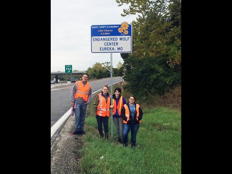 APSU Students did volunteer work during Fall Break.