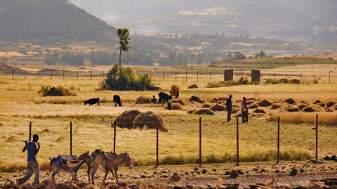 The African Sahel, the region just south of the Sahara Desert, is a soil moisture hot spot. (Wikimedia Commons)