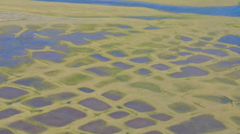 This photo taken during the CARVE experiment shows polygonal lakes created by melting permafrost on Alaska's North Slope. (NASA/JPL-Caltech) This photo taken during the CARVE experiment shows polygonal lakes created by melting permafrost on Alaska's North Slope. (NASA/JPL-Caltech)