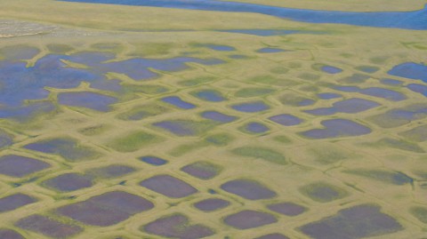 This photo taken during the CARVE experiment shows polygonal lakes created by melting permafrost on Alaska's North Slope. (NASA/JPL-Caltech)