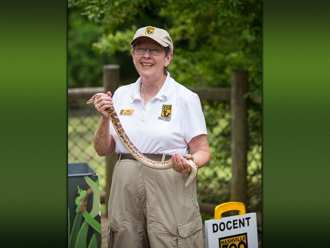 Nashville Zoo will host an open house for anyone interested in becoming a Zoo Docent. The open house will take place on January 10th at 11:00am Docents help deliver the Zoo’s educational messages by engaging with our guests. (Amiee Stubbs)