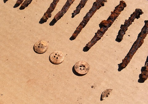 Nashville Zoo Cemetery Findings.