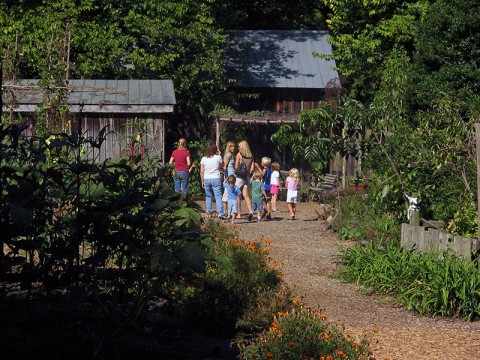 Spring Gardening Classes at the Nashville Zoo.