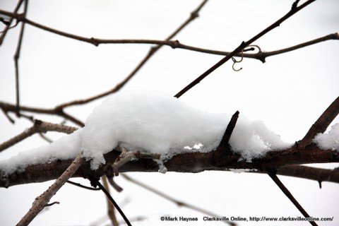 Snow expected across Clarksville-Montgomery County late tonight.