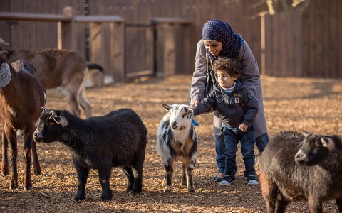 Nashville Zoo - Critter Encounters. (Amiee Stubbs)