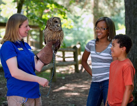 Land Between The Lakes Woodlands Nature Station offers a close up look at many native wildlife species. (O'Neil Arnold, KY Toursim)