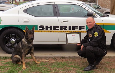 Montgomery County Sheriff's Office K9 K9 Merlin and Deputy Chris Bedell.