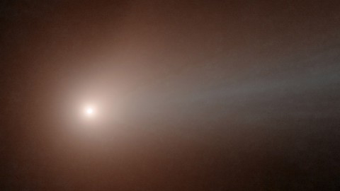 The NEOWISE spacecraft viewed comet C/2014 Q2 (Lovejoy) on January 30, 2015, at a solar distance of 120 million miles (193 million kilometers). (NASA/JPL-Caltech)