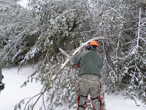 A Tennessee National Guard Soldier of the 278th Armored Cavalry Regiment clears downed limbs from a roadway while assisting local residents in Cumberland County, Tennessee, after the winter storm devastated the region February 21st.