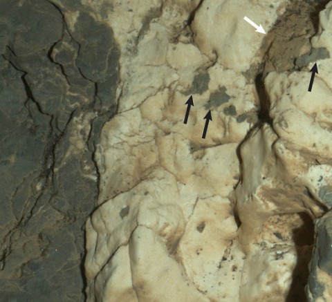 This view from the Mars Hand Lens Imager on the arm of NASA's Curiosity Mars rover is a close-up of a two-tone mineral vein at a site called "Garden City" on lower Mount Sharp. It was taken during night, illuminated by LEDs, on March 25, 2015. (NASA/JPL-Caltech/MSSS)