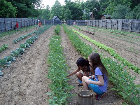 Children's Day at Land Between the Lakes' The Homeplace -- activities included laundry chores, gardening, and a general store. (LBL Homeplace Staff)