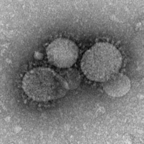 Middle East Respiratory Syndrome (MERS)